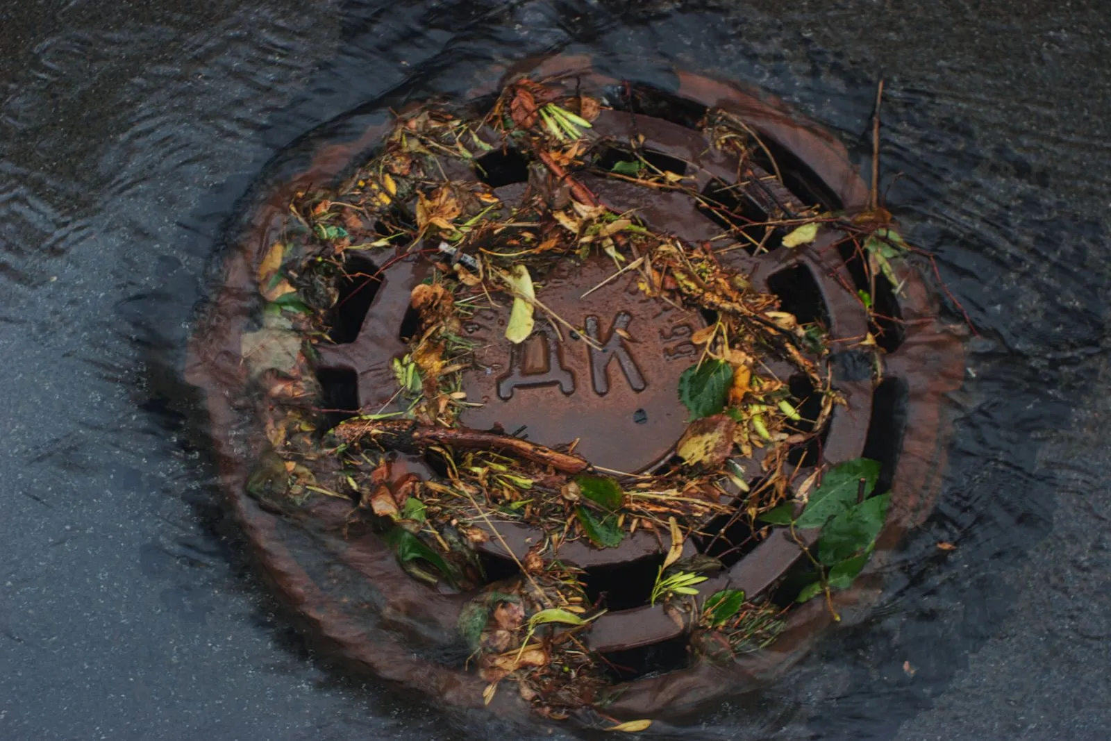 Signs an Underground Drain May Be Blocked